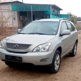 Lexus RX 330 2004