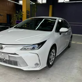 Toyota Corolla 2021