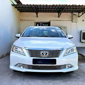 Toyota Camry 2013