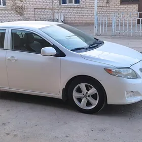 Toyota Corolla 2010