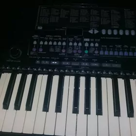 Yamaha psr510