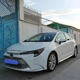 Toyota Corolla 2020