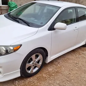 Toyota Corolla 2013