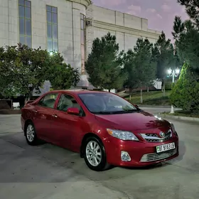 Toyota Corolla 2010