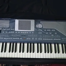 Korg pa800