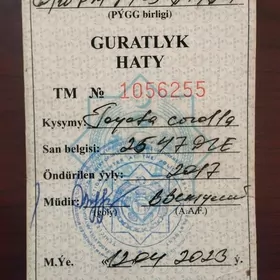 Guratlyk haty (Teh pasport)