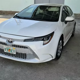 Toyota Corolla 2020