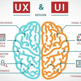 UX UI designer gözlenýar