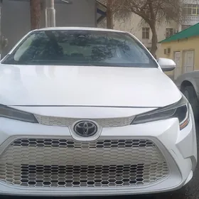 Toyota Corolla 2020