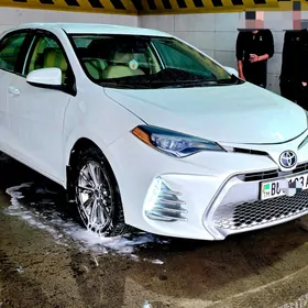 Toyota Corolla 2017