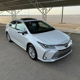 Toyota Corolla 2024