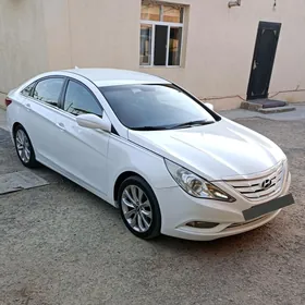 Hyundai Sonata 2010