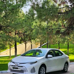 Toyota Corolla 2019