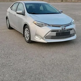 Toyota Corolla 2018