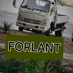 Forland H3 2014