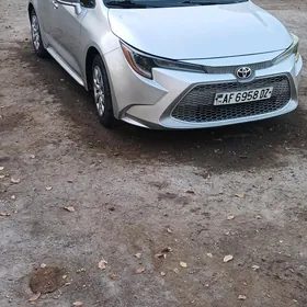 Toyota Corolla 2019