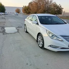 Hyundai Sonata 2010