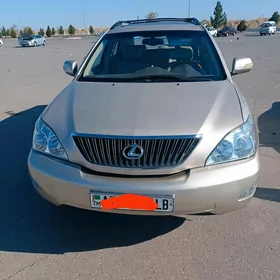 Lexus RX 330 2004