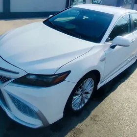 Toyota Camry 2020