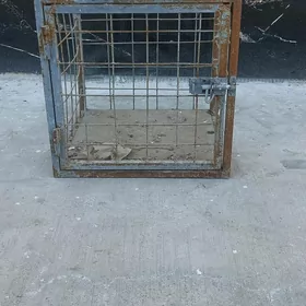 It ýatak