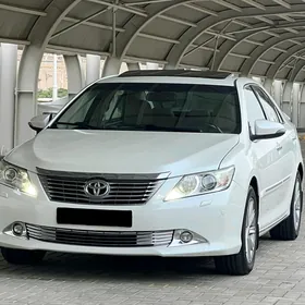 Toyota Aurion 2013