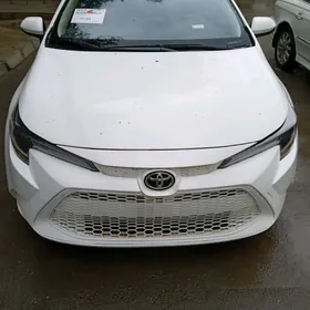 Toyota Corolla 2021