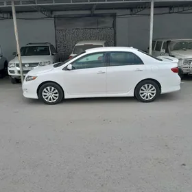 Toyota Corolla 2008