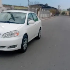 Toyota Corolla 2007