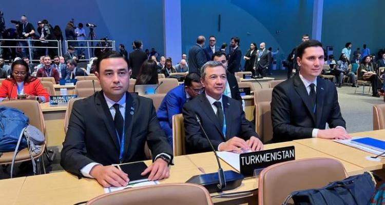 Türkmenistanyň wekiliýeti Bakuwda COP29 mejlisine gatnaşýar - img 2