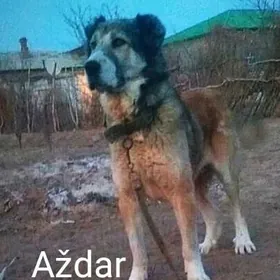 Aždar