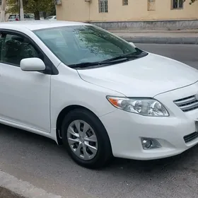 Toyota Corolla 2010