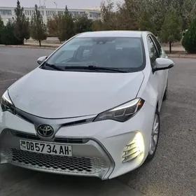 Toyota Corolla 2019