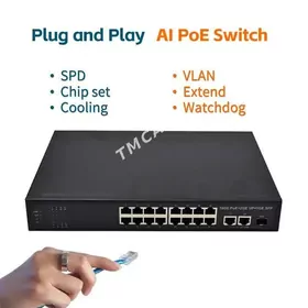 Poe Switch