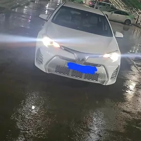 Toyota Corolla 2019