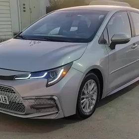 Toyota Corolla 2021