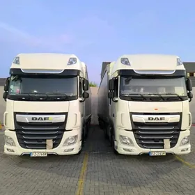 DAF 480 2019