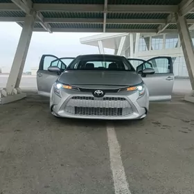 Toyota Corolla 2020