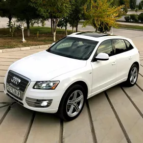 Audi Q5 2010