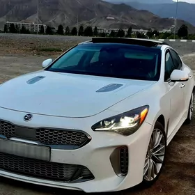 Kia Stinger 2017