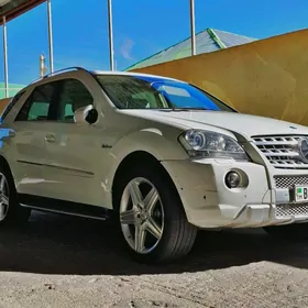 Mercedes-Benz ML350 2010