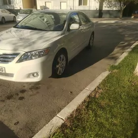 Toyota Camry 2010