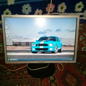 Monitor 19"