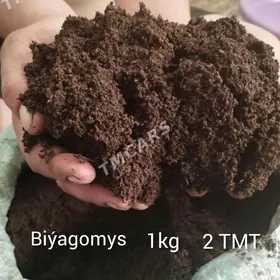 biýagomus