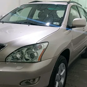 Lexus RX 330 2006