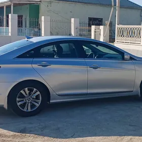 Hyundai Sonata 2010