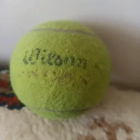 tennis top (wilson)