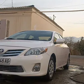 Toyota Corolla 2011