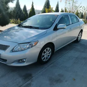 Toyota Corolla 2010