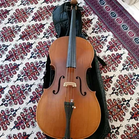 violonchel 1/2, 2/4