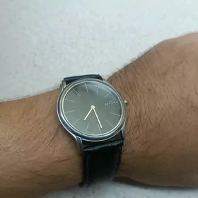 Часы Skagen sagat